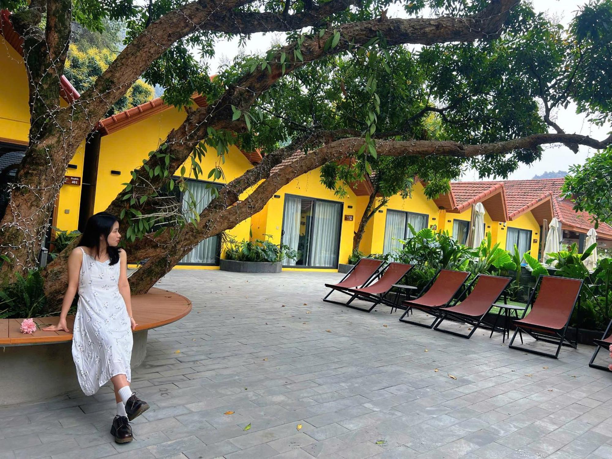 For You Ninh Binh Boutique Eksteriør bilde